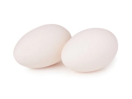 Goose Egg 5 Pack